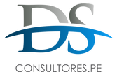 DSConsultores.PE