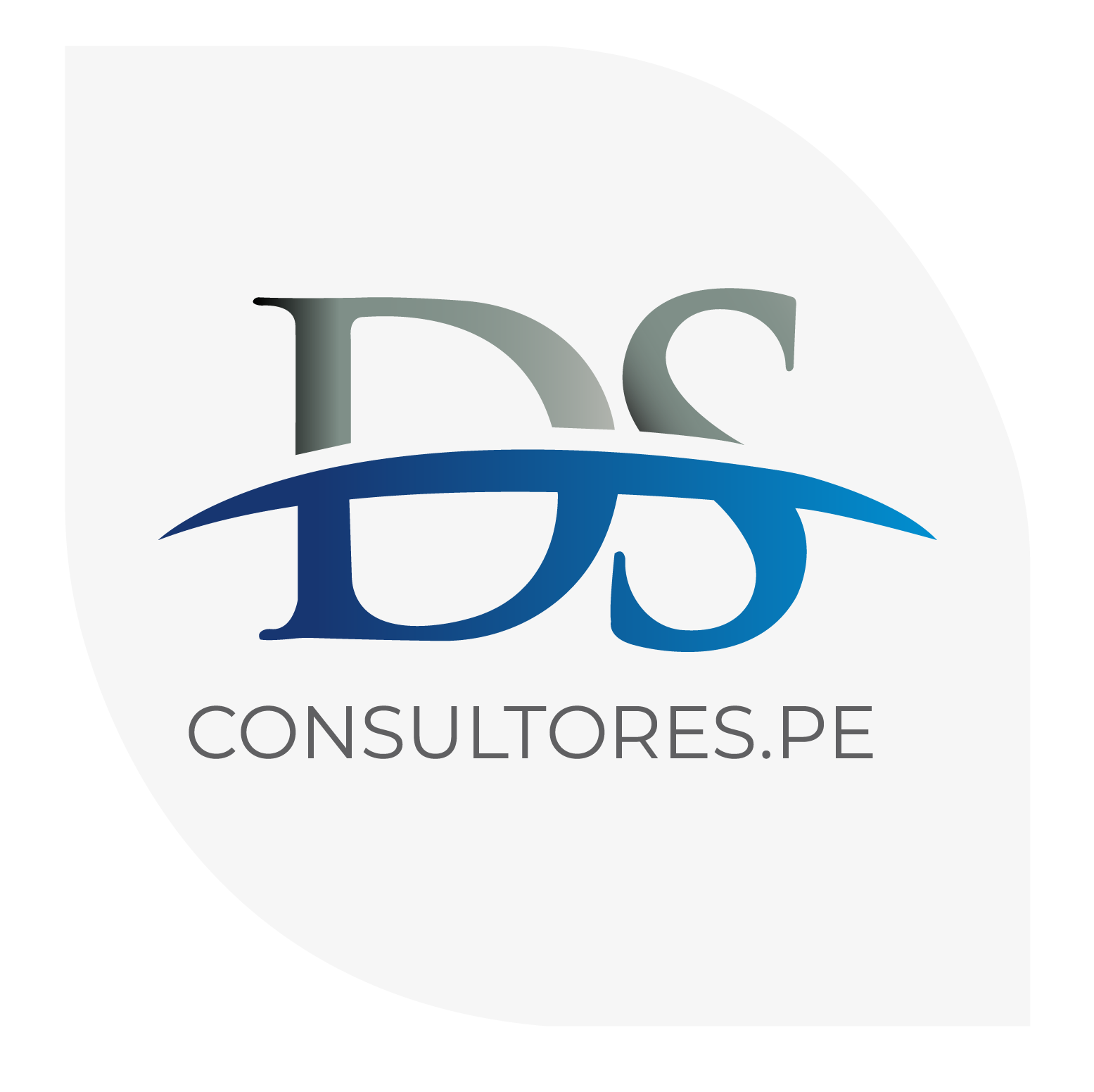 DSConsultores.PE